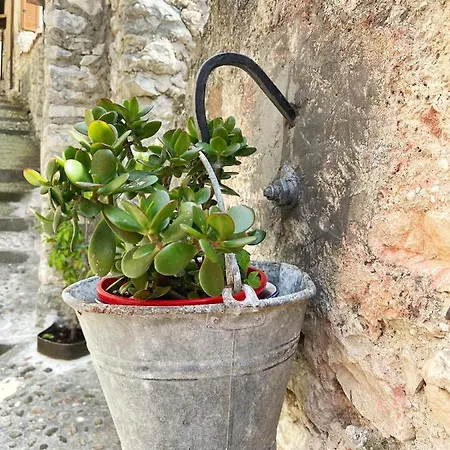 Villa Le Due Terrazze Brenzone sul Garda Exterior foto