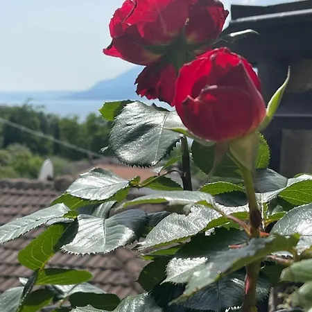 Villa Le Due Terrazze Brenzone sul Garda Exterior foto