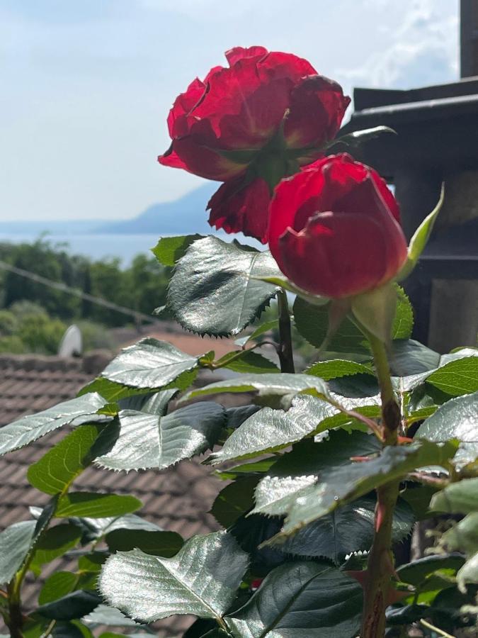 Le Due Terrazze Brenzone sul Garda