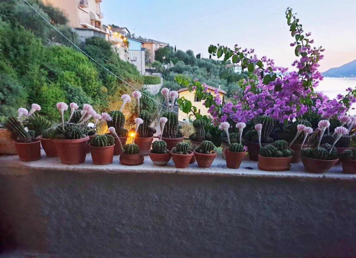 Le Due Terrazze Brenzone sul Garda