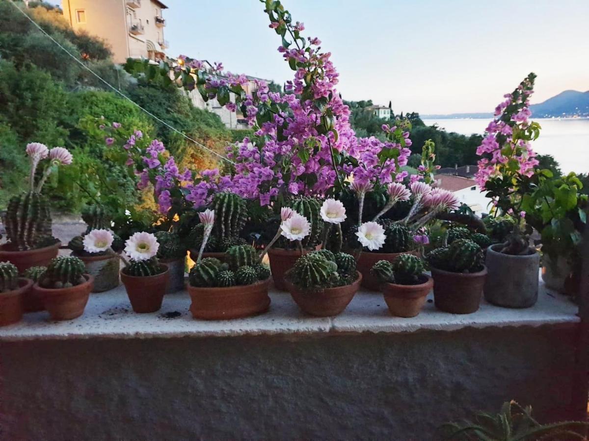 Le Due Terrazze Holiday home Brenzone sul Garda